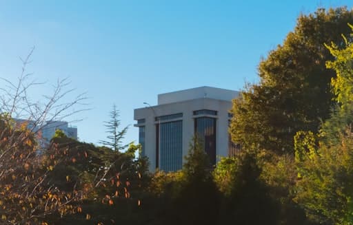 Harlow Payments outbound campaign